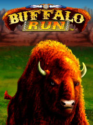 Buffalo Run