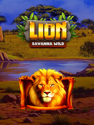 Lion Savanna Wild