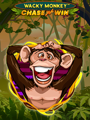 Wacky Monkey - Chase'N'Win