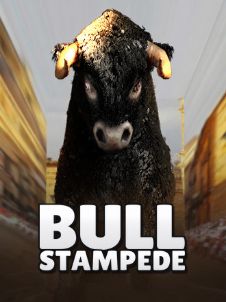 Bull Stampede