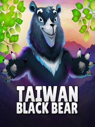 Taiwan Black Bear