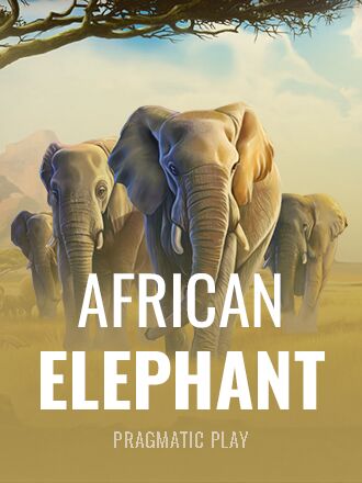 African Elephant