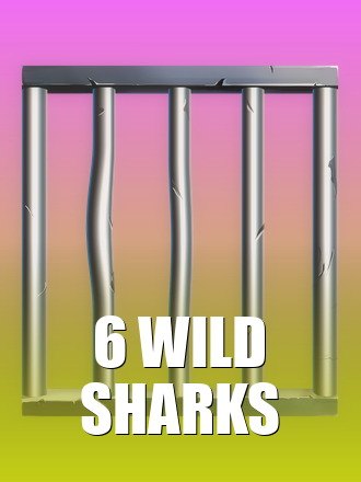 6 Wild Sharks