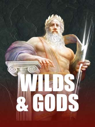 Wild & Gods